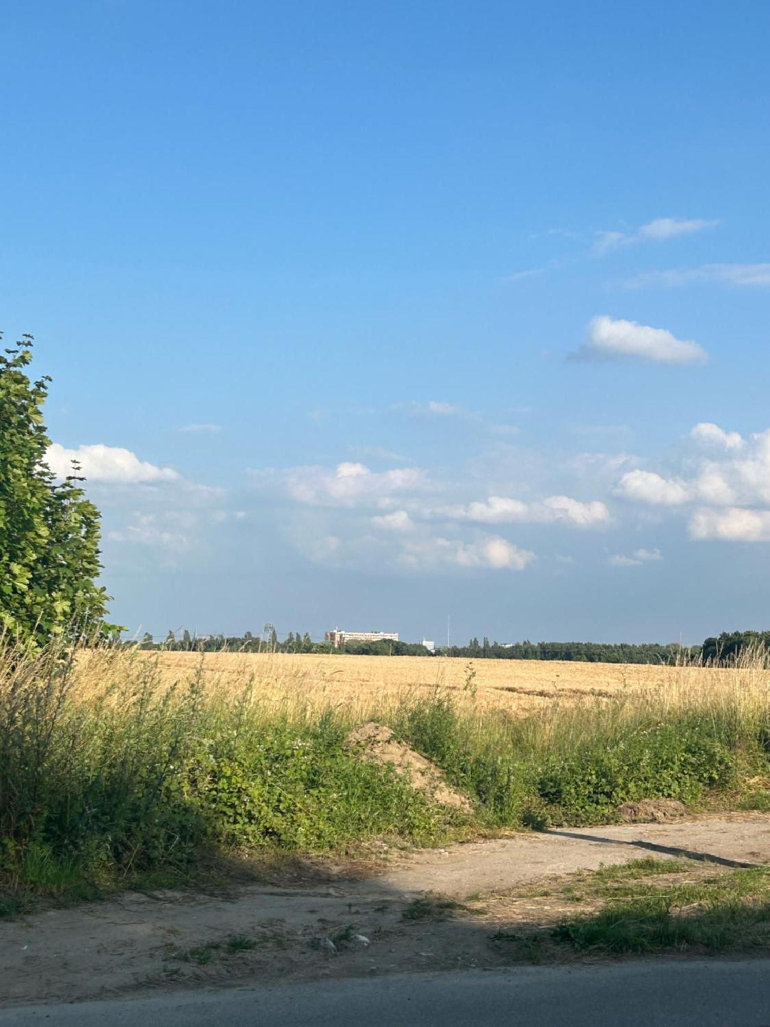 Ferienwohnungen Mit Feldblick Шверин Екстериор снимка